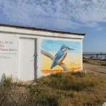 Amba Διαμέρισμα